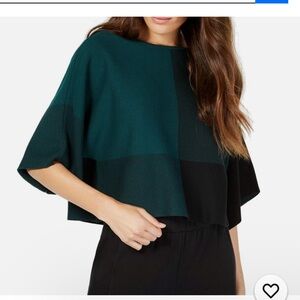 Eileen Fisher
Color Block Crop Sweater Green and Black Size Medium 100% Tencel